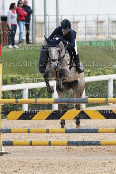 FAVALLI_INDORA_GIO CAV 2011_SS3_8405.jpg